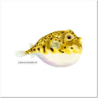 Pufferfish Posters and Art
